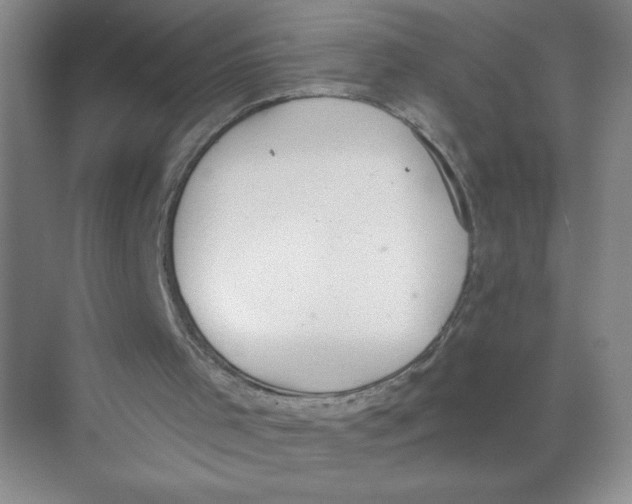 X0000074300001200609222347