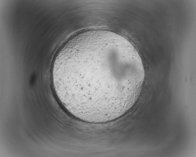 X0000074300002200609222347