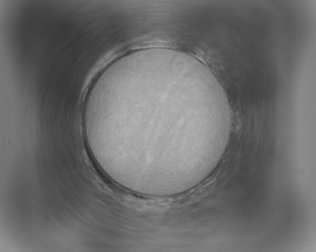 X0000074300004200609222347