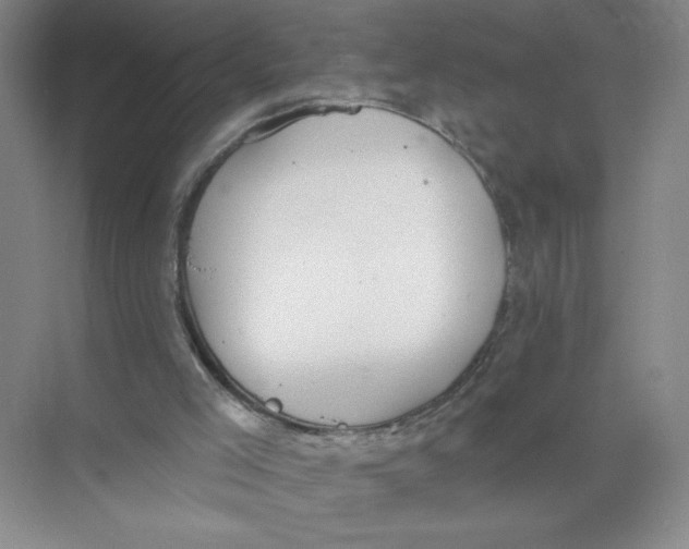 X0000074300005200609222347