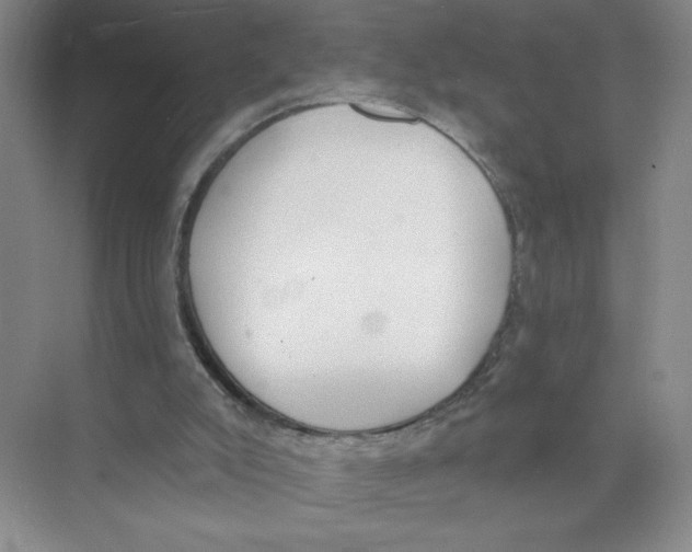 X0000074300007200609222347