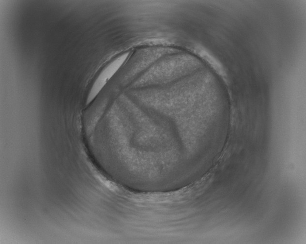 X0000074300009200609222347