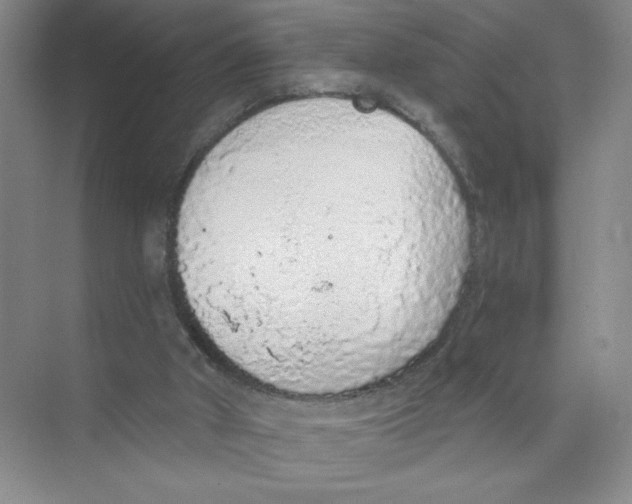 X0000074300010200609222347