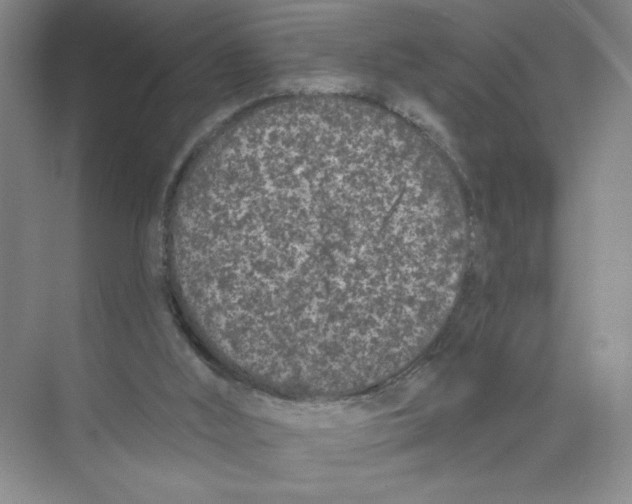 X0000074300012200609222347