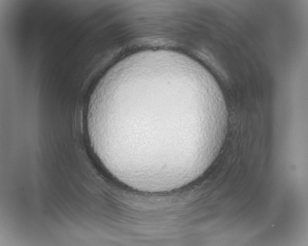 X0000074300014200609222347