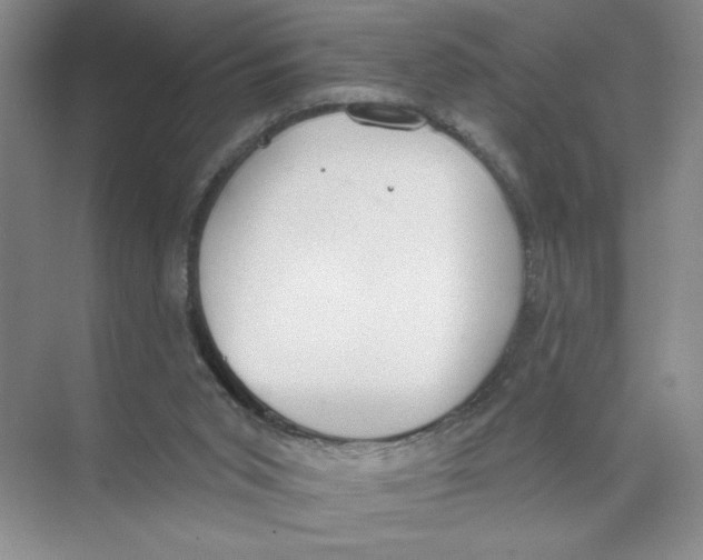 X0000074300015200609222347