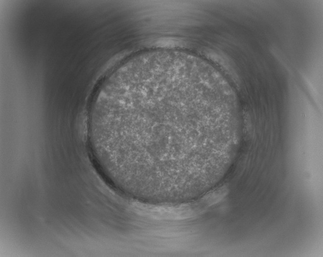 X0000074300016200609222346