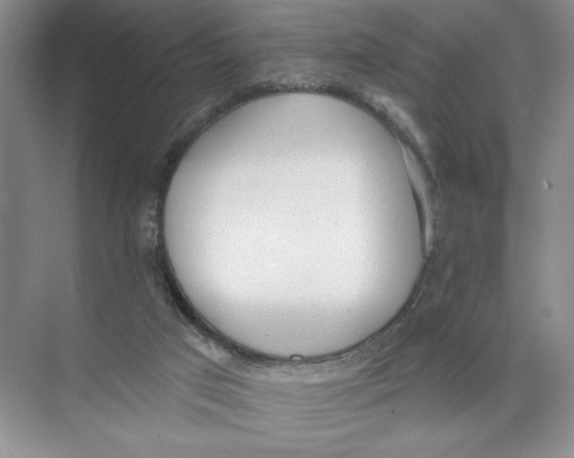 X0000074300017200609222346