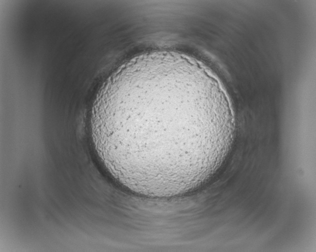 X0000074300018200609222346