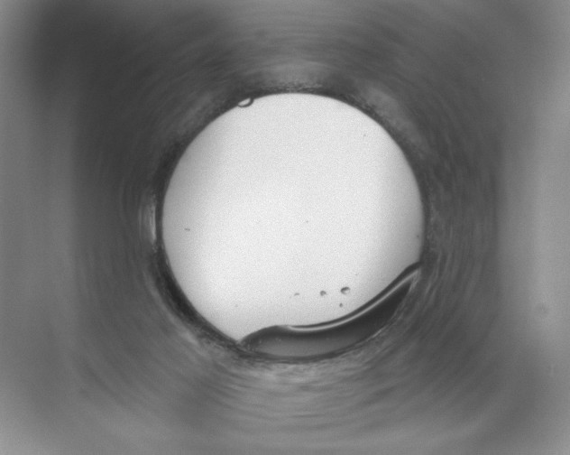 X0000074300021200609222346