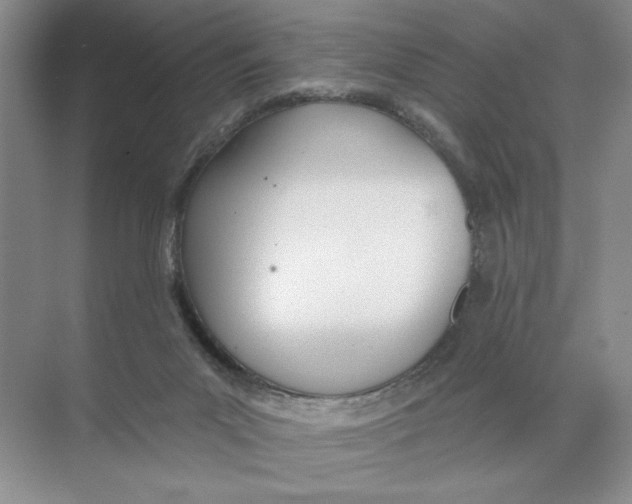 X0000074300023200609222346