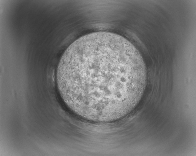 X0000074300024200609222346