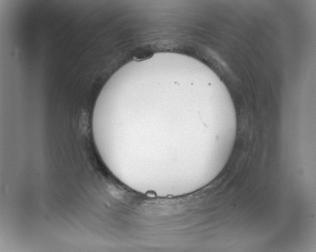 X0000074300025200609222346