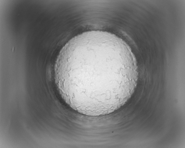 X0000074300026200609222346