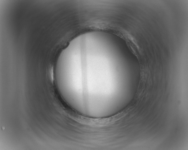 X0000074300027200609222346