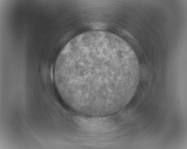 X0000074300028200609222346