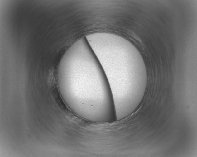 X0000074300029200609222346