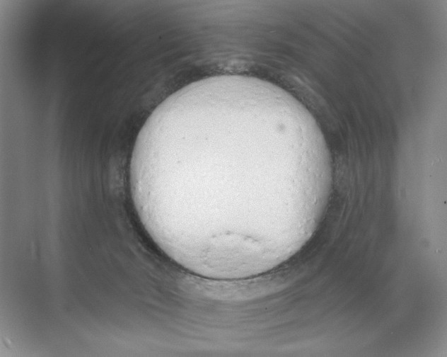 X0000074300030200609222346