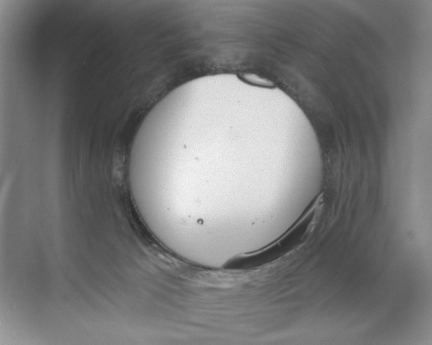 X0000074300033200609222346