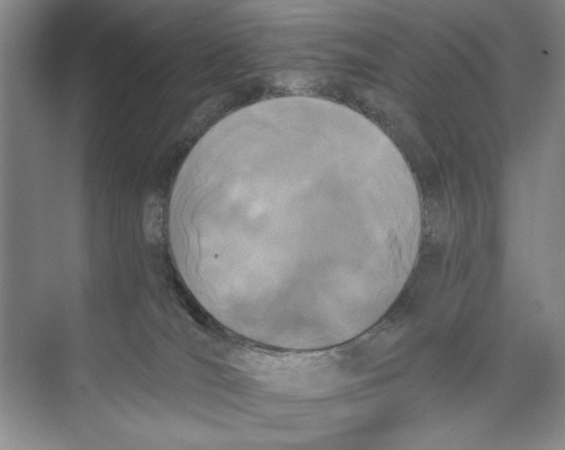 X0000074300036200609222346