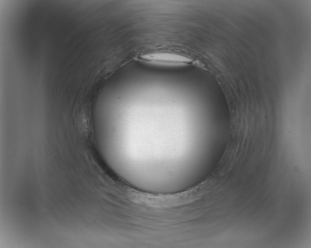 X0000074300039200609222346