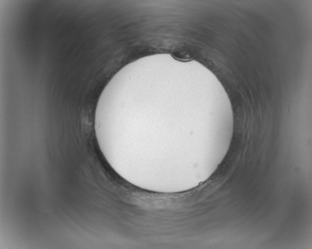 X0000074300040200609222346