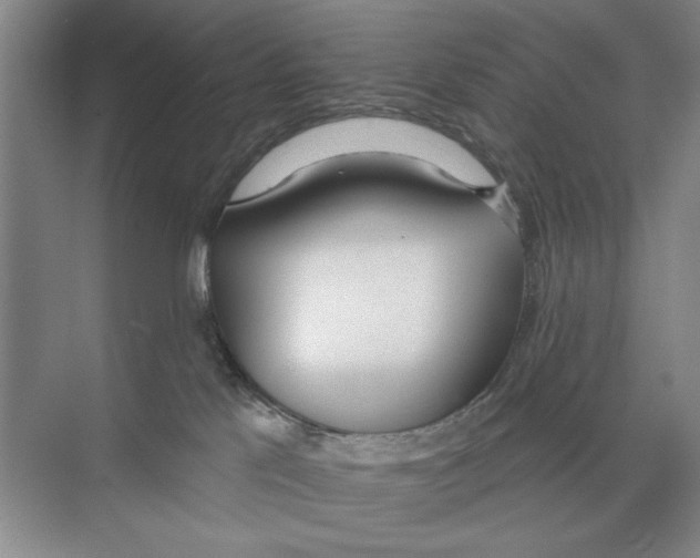 X0000074300041200609222346