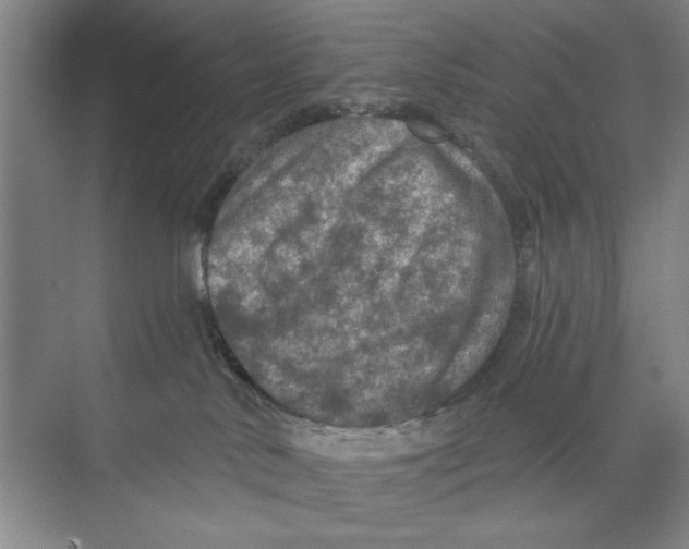 X0000074300042200609222346