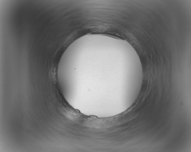 X0000074300045200609222346