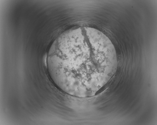 X0000074300047200609222346