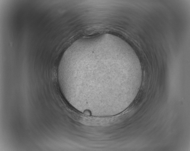 X0000074300048200609222346