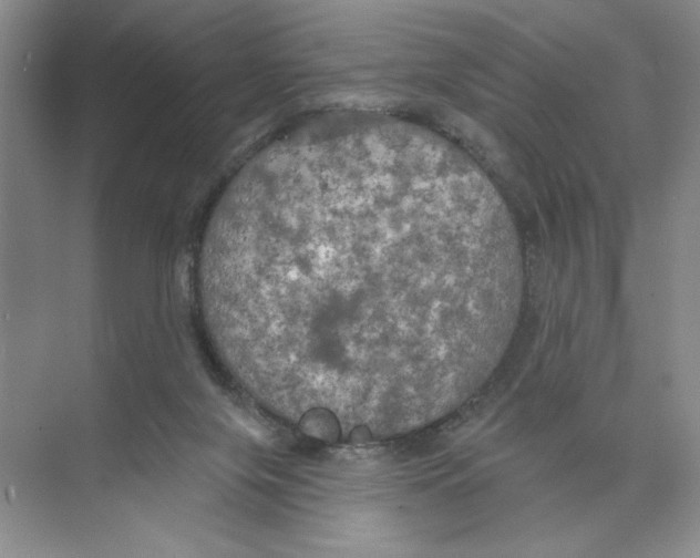 X0000074300071200609222346