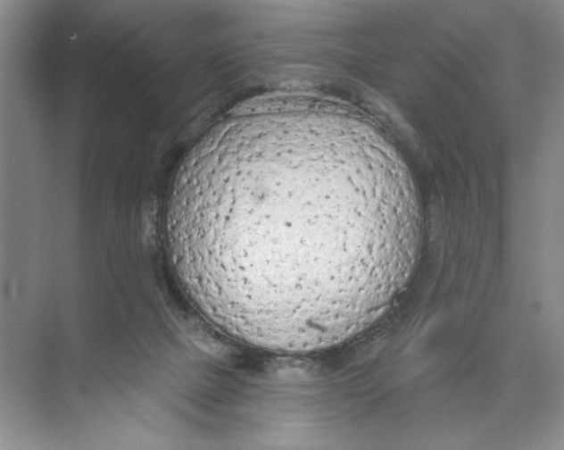 X0000074300073200609222346