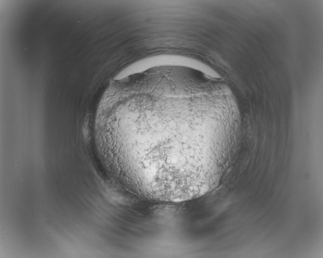 X0000074300074200609222346