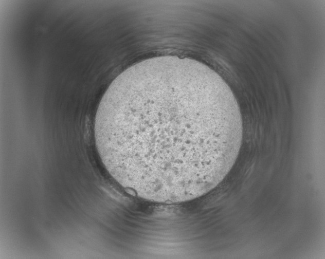 X0000074300077200609222346