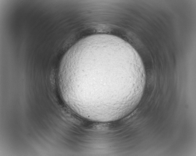 X0000074300078200609222346