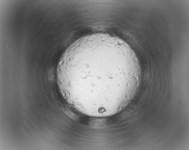 X0000074300081200609222346