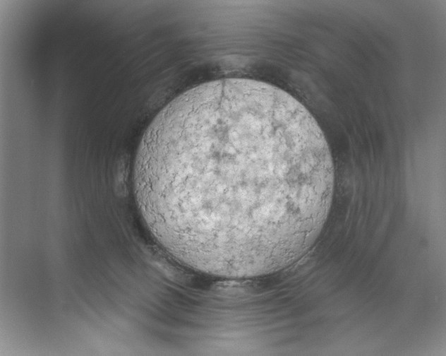 X0000074300082200609222346