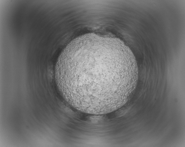 X0000074300085200609222346