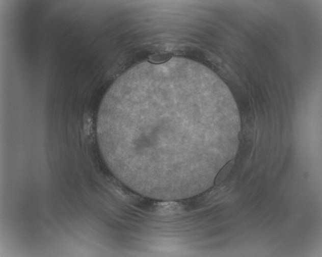 X0000074300087200609222346