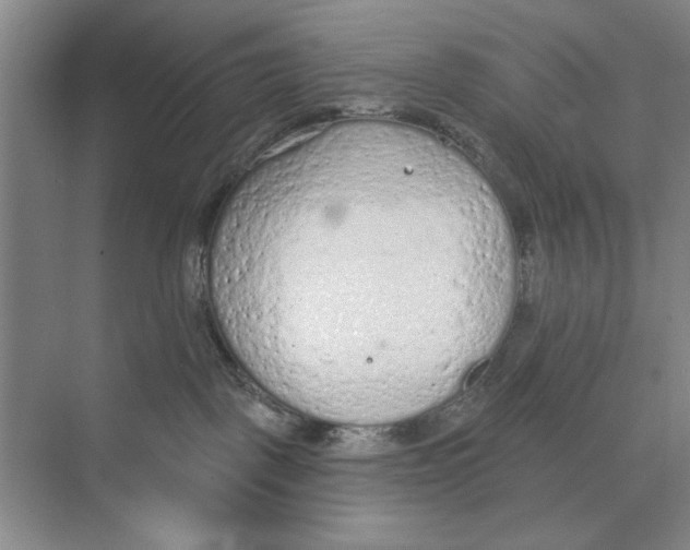 X0000074300093200609222346