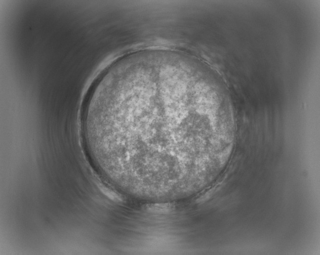 X0000074300102200609222345