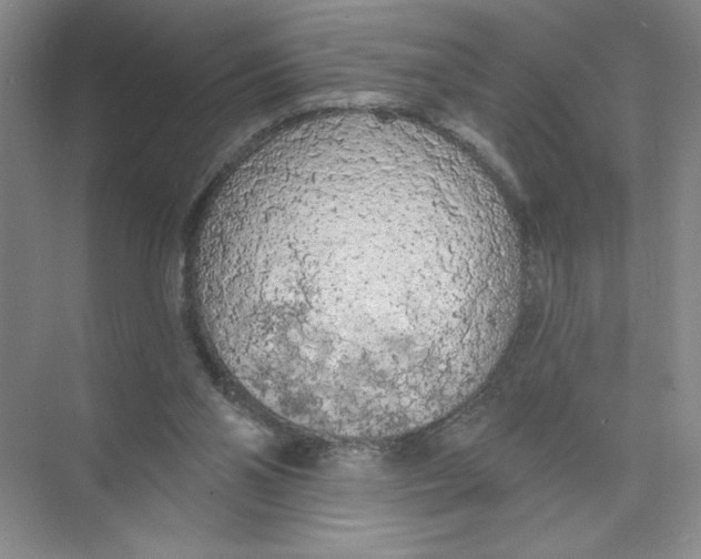 X0000074300110200609222345