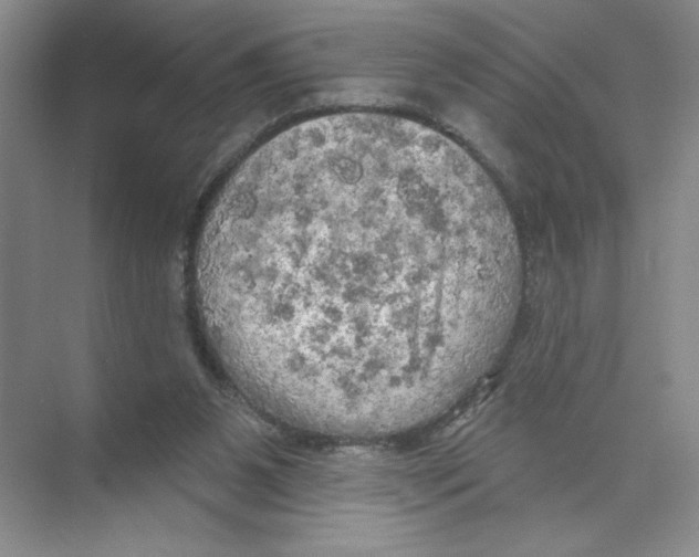 X0000074300111200609222345