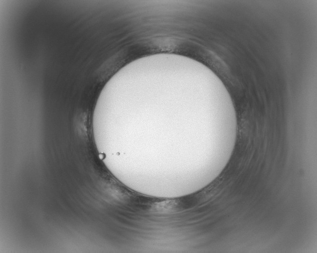 X0000074300122200609222345