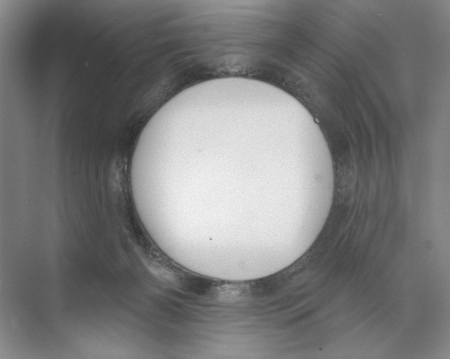 X0000074300126200609222345