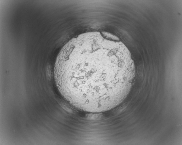 X0000074300135200609222344