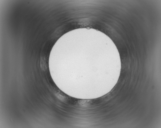 X0000074300136200609222344