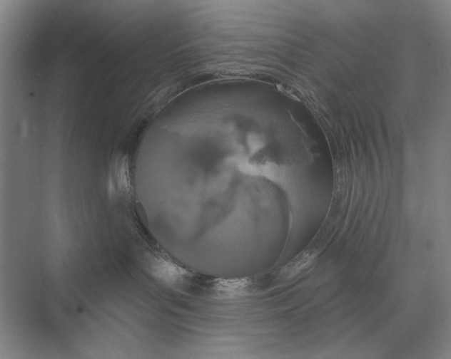 X0000074300143200609222344