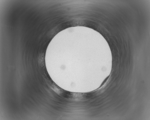 X0000074300144200609222344